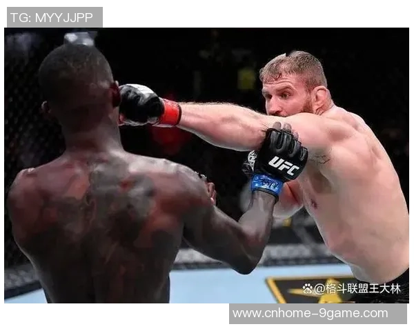 UFC凯恩与牛头人激烈对决谁将成为终极战斗之王